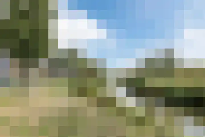 Katwijkerweg 5 Valkenburg thumbnail 68