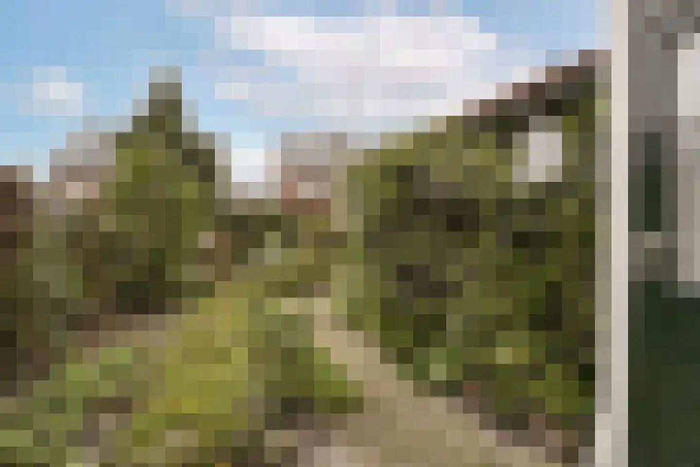 Katwijkerweg 52 Valkenburg thumbnail 25