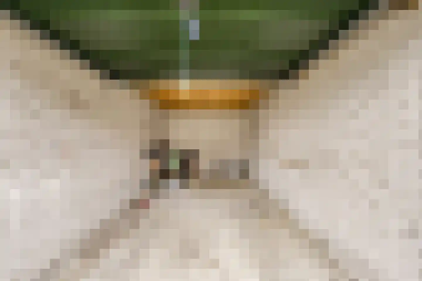 Katwijkerweg 52 Valkenburg thumbnail 32