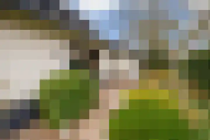Katwijkselaan 2 Den Haag thumbnail 22