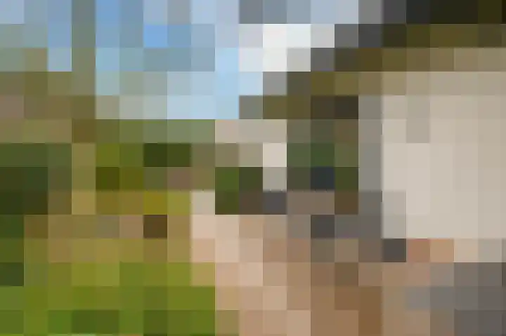 Katwijkselaan 2 Den Haag thumbnail 23