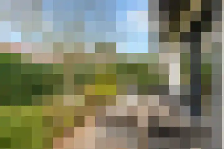 Katwijkselaan 2 Den Haag thumbnail 24
