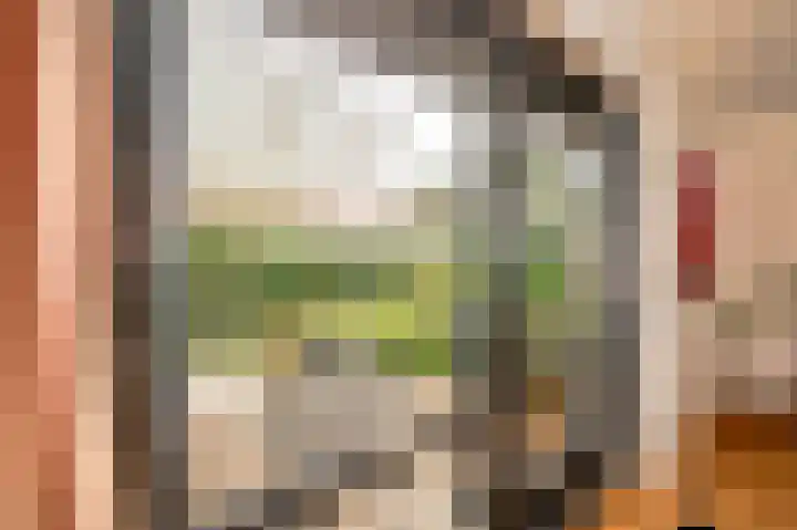 Katwijkselaan 2 Den Haag thumbnail 25