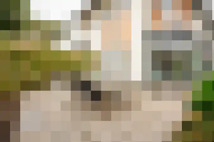 Katwijkselaan 2 Den Haag thumbnail 34