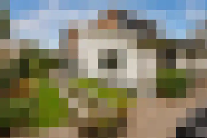 Katwijkselaan 2 Den Haag thumbnail 41