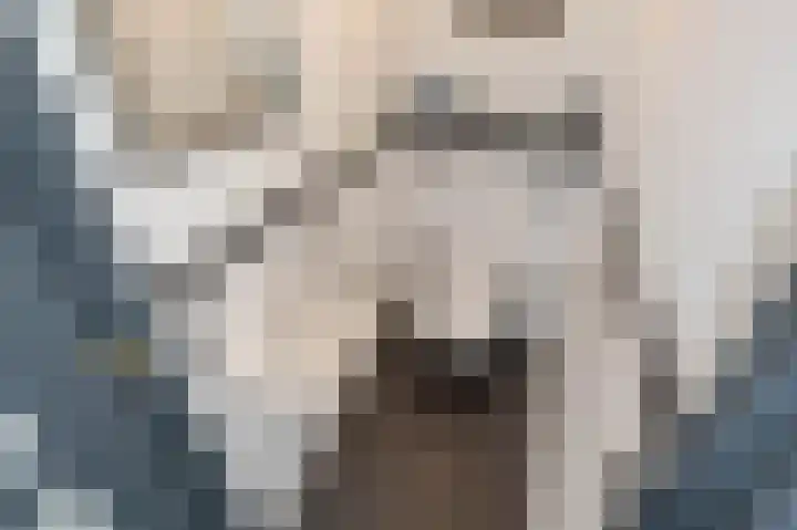 Katwijkselaan 2 Den Haag thumbnail 61