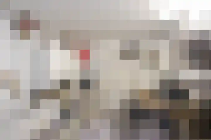 Katwijkselaan 2 Den Haag thumbnail 84