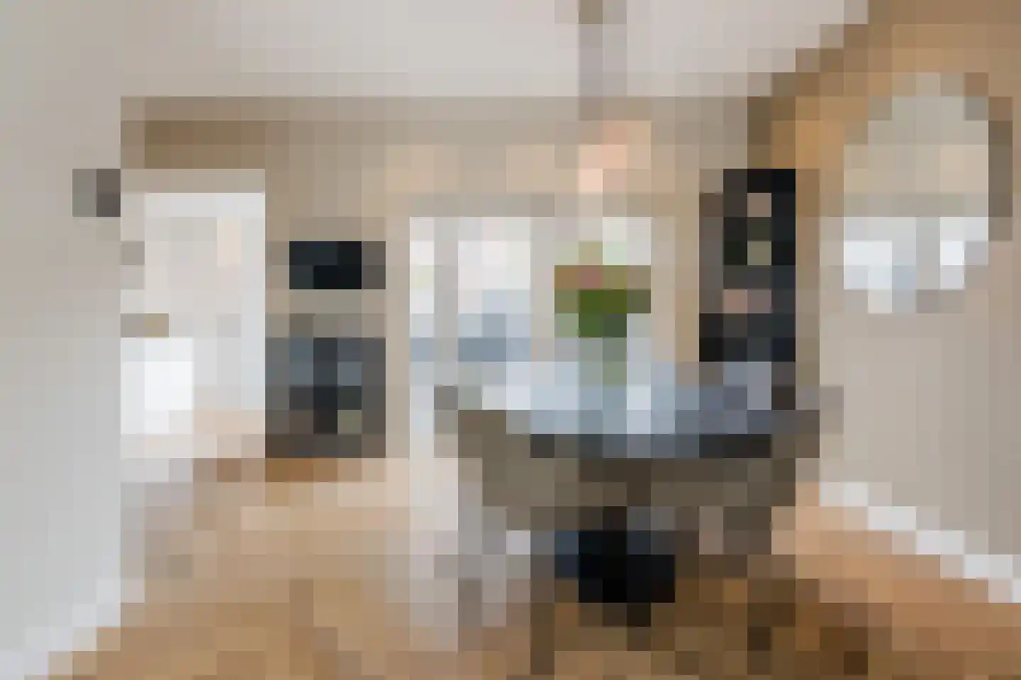 Katwijksestraat 19 Noordwijk thumbnail 14