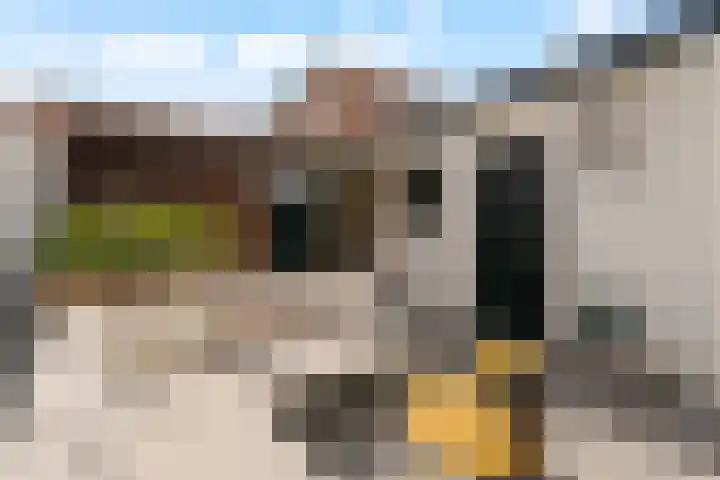 Katwijksestraat 24 Noordwijk thumbnail 14