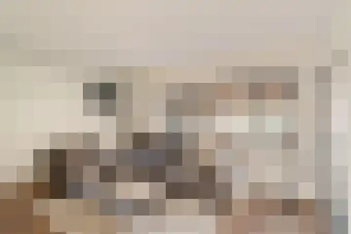 Katwijksestraat 24 Noordwijk thumbnail 4