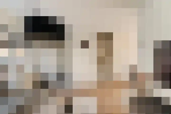 Katwijksestraat 24 Noordwijk thumbnail 5