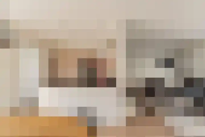 Katwijksestraat 24 Noordwijk thumbnail 7