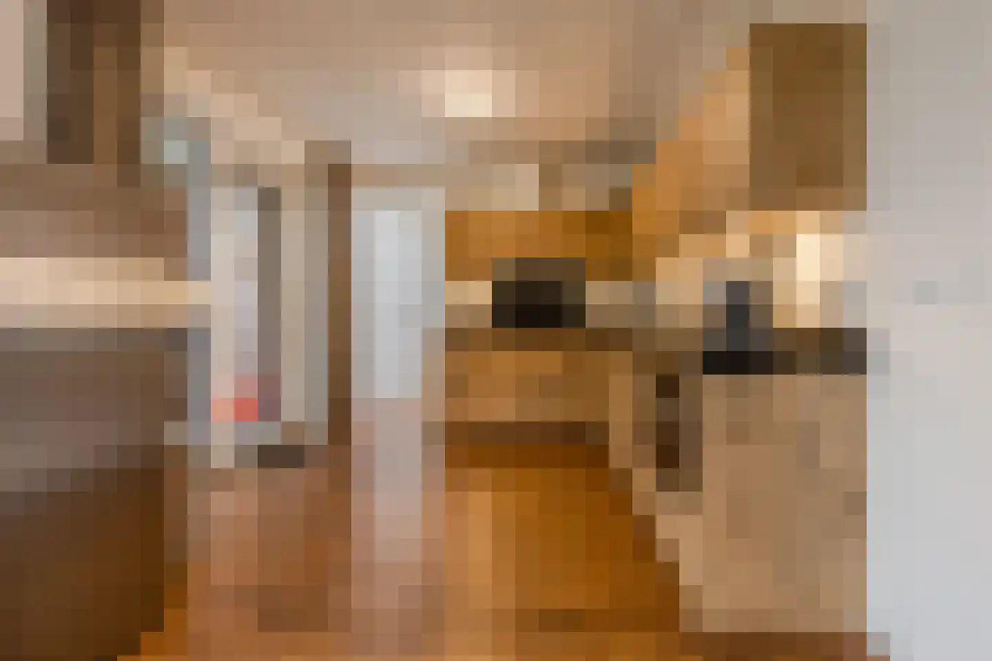 Katwijkseweg 17 Cuijk thumbnail 13