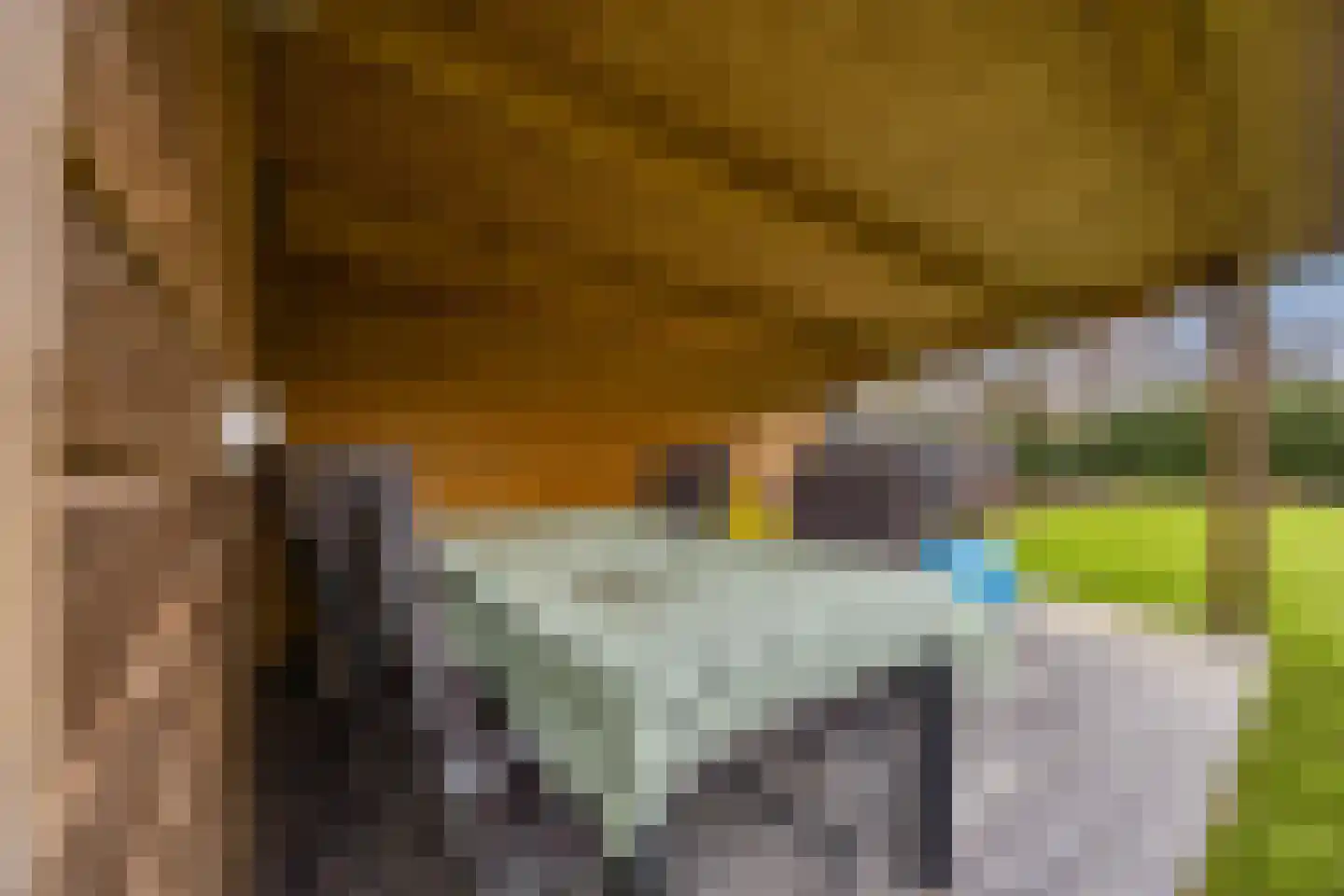 Katwijkseweg 17 Cuijk thumbnail 41