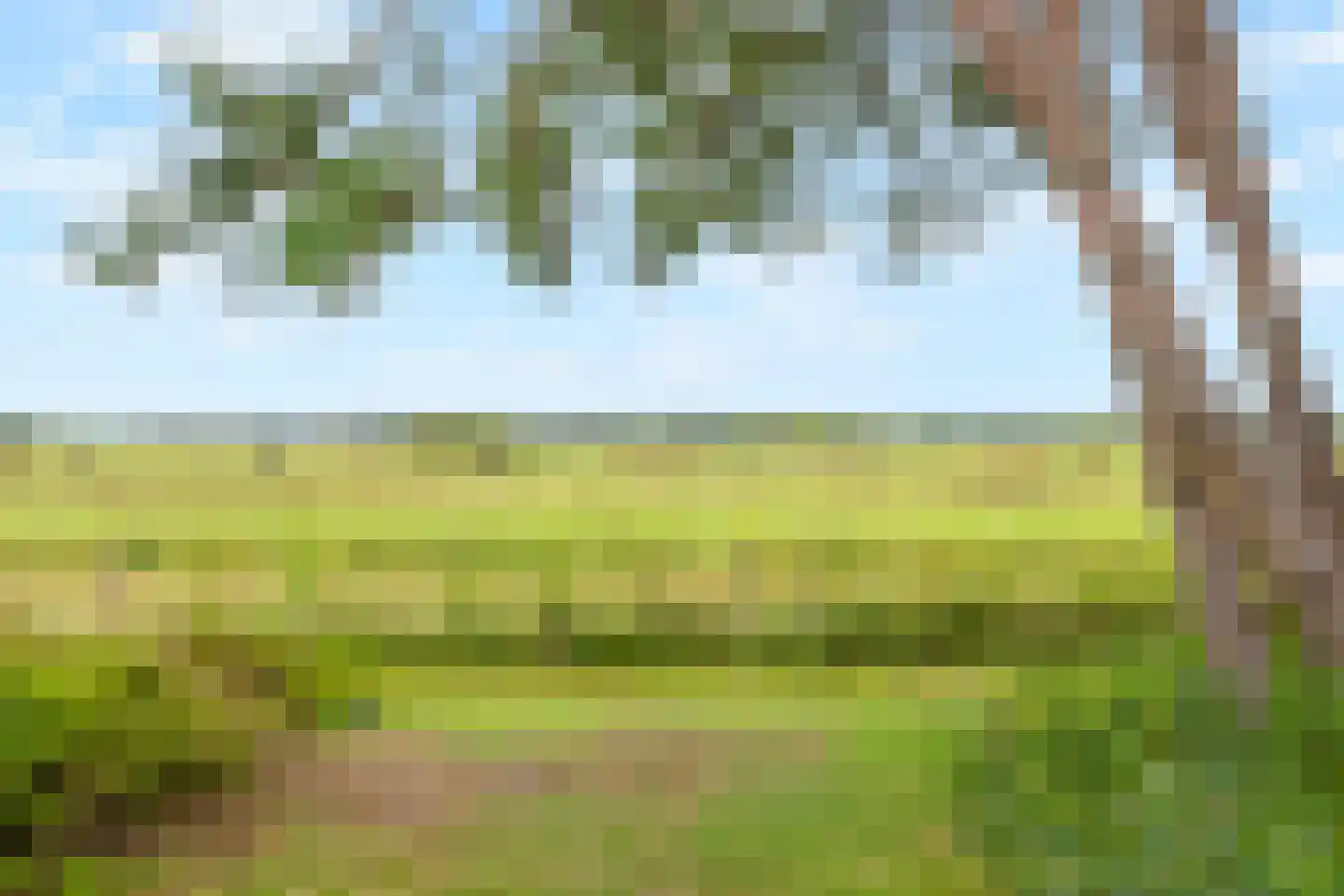 Katwijkseweg 40 Wassenaar thumbnail 10