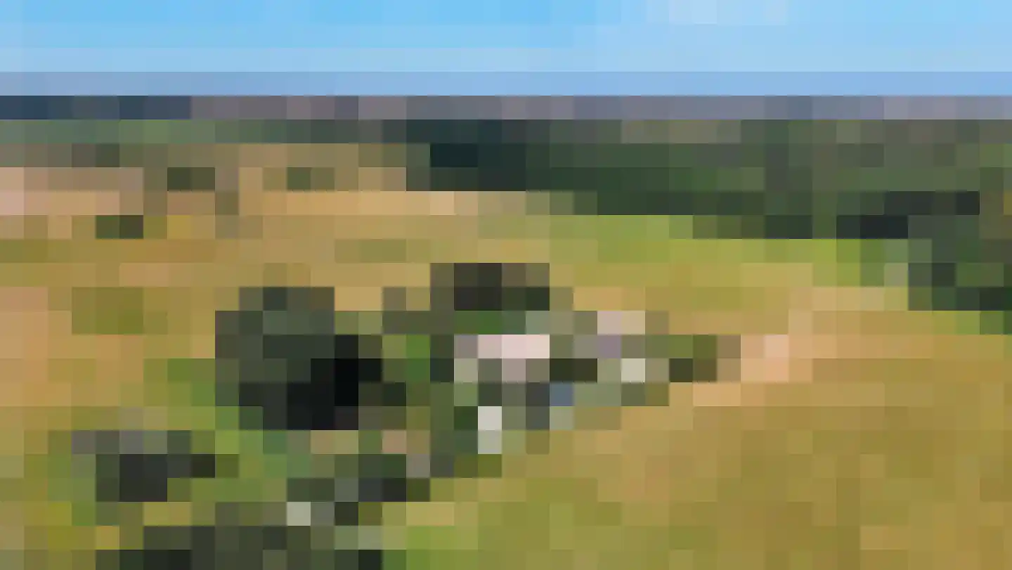 Katwijkseweg 40 Wassenaar thumbnail 6