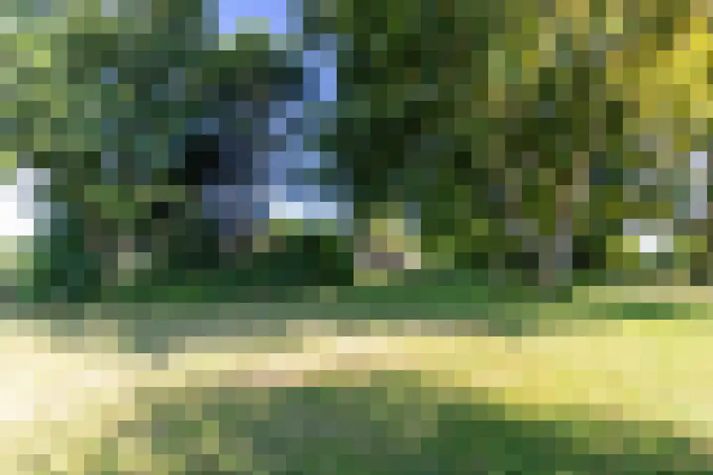 Katwijkseweg 40 Wassenaar thumbnail 8