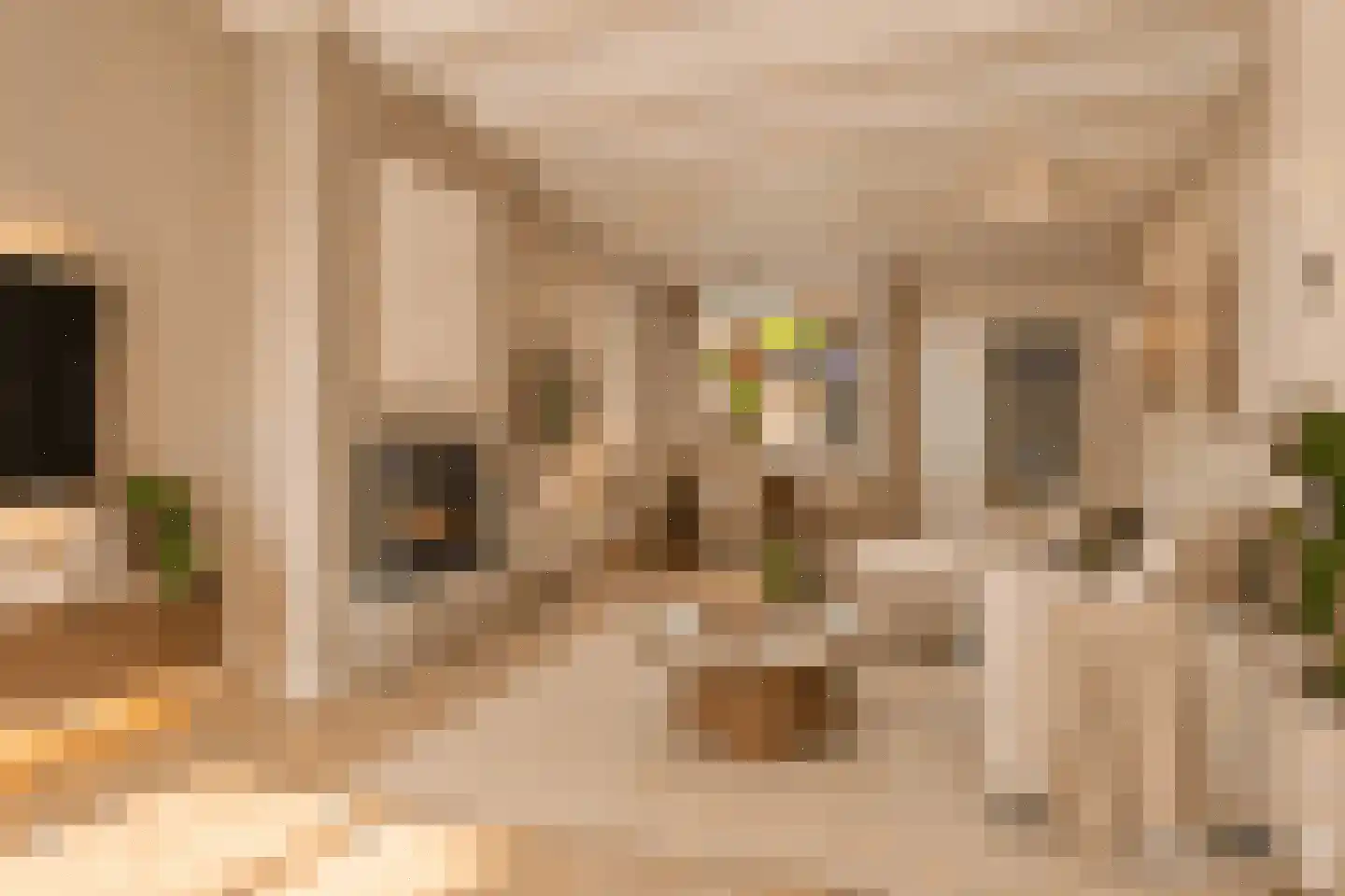 Katwijkstraat 45 Oss thumbnail 14