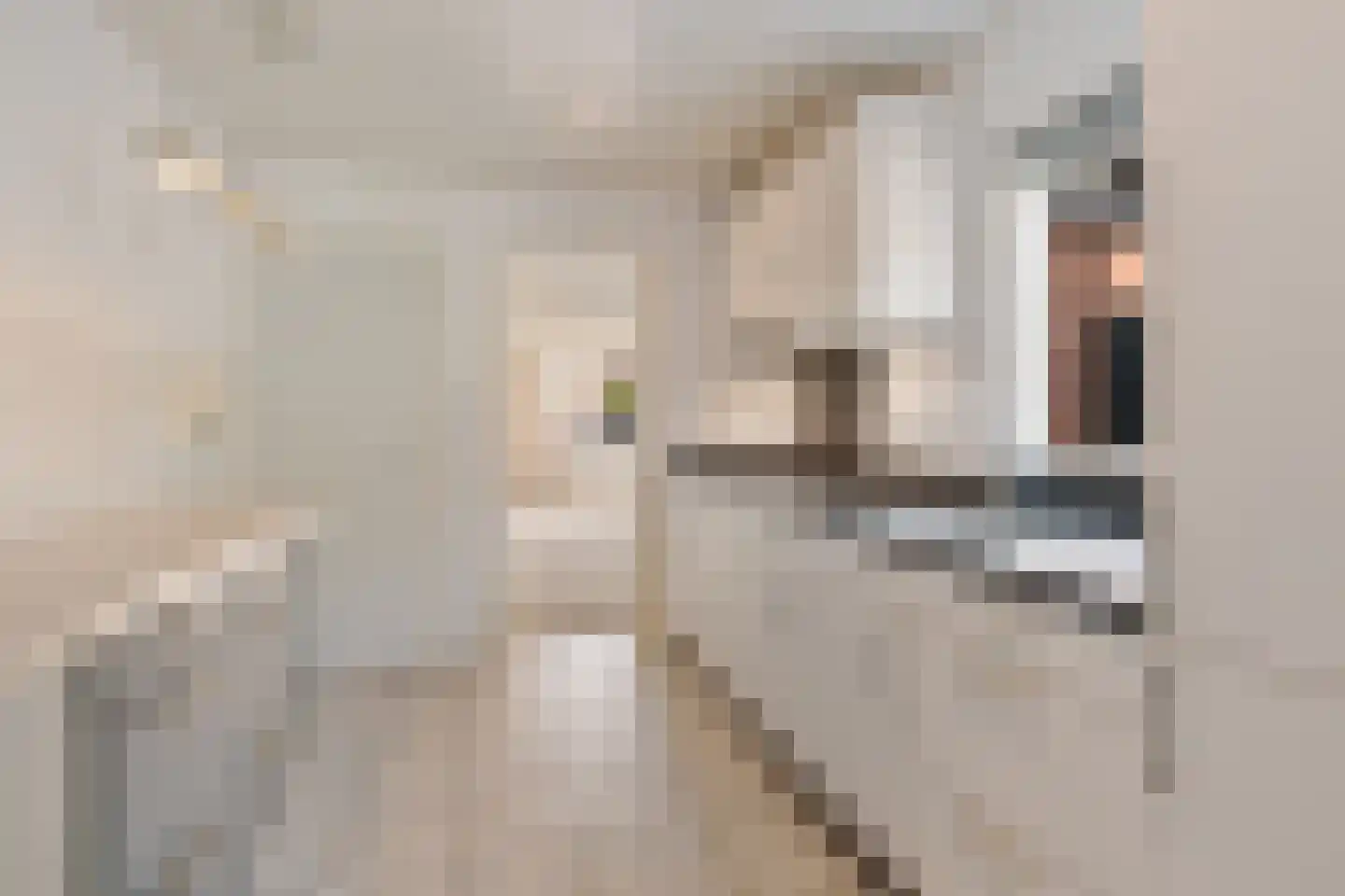 Katwijkstraat 45 Oss thumbnail 17