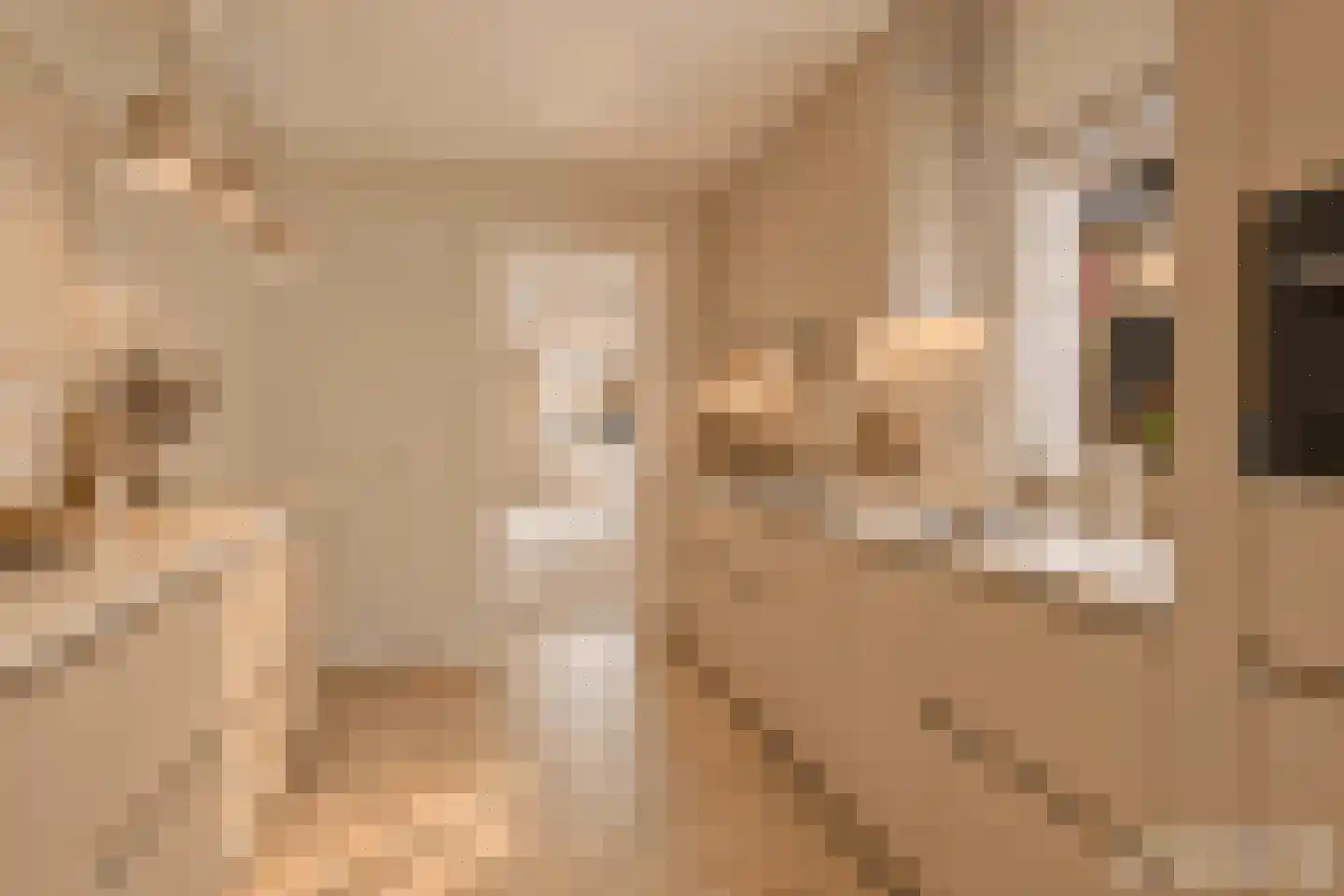 Katwijkstraat 45 Oss thumbnail 18