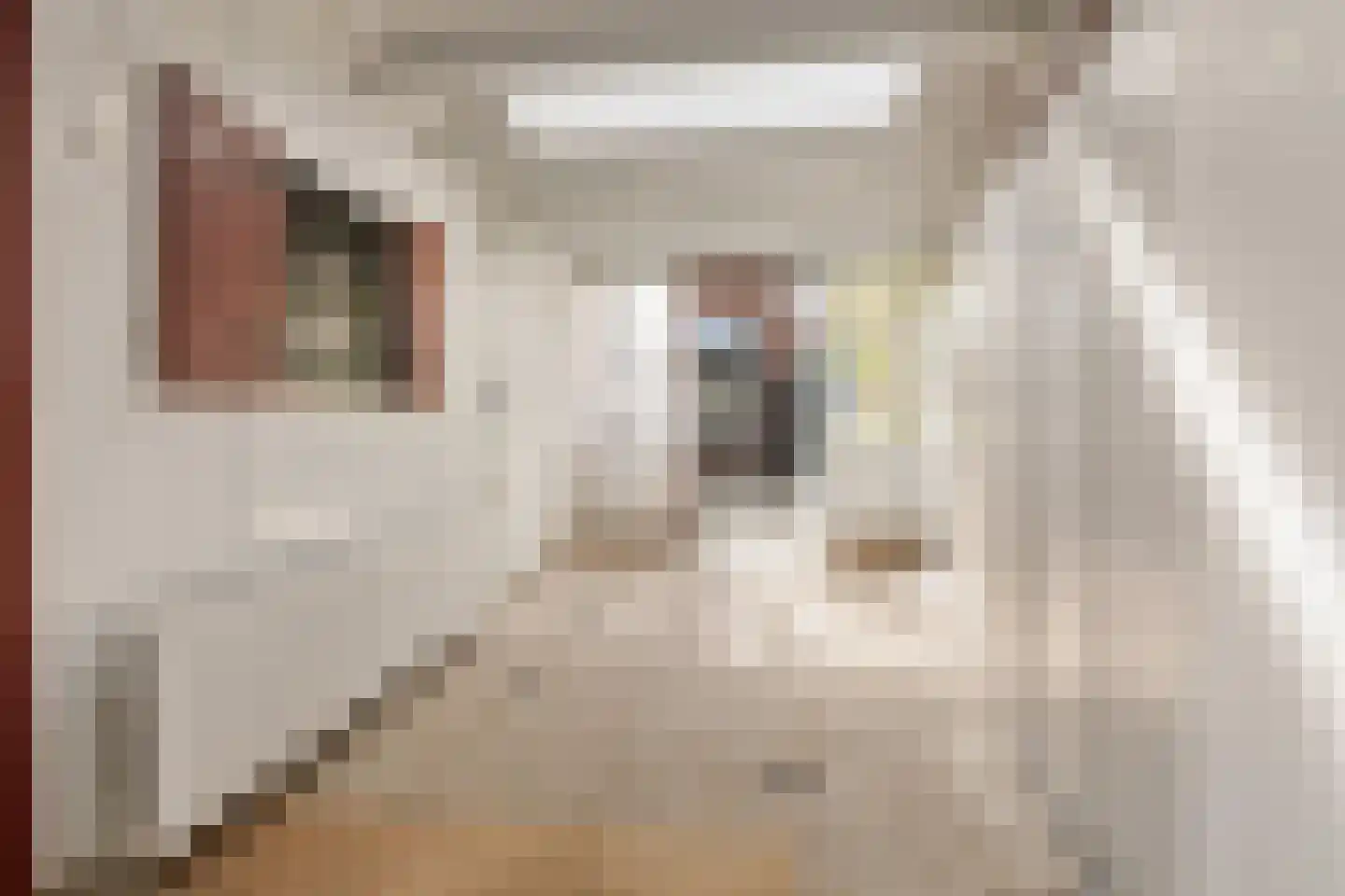 Katwijkstraat 45 Oss thumbnail 36