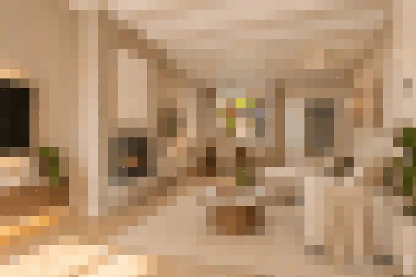 Katwijkstraat 45 Oss thumbnail 4