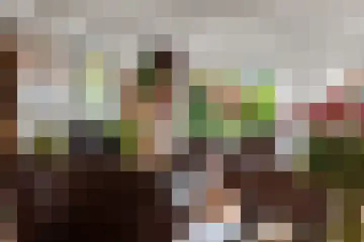 Katwoudehof 26 Arnhem thumbnail 15