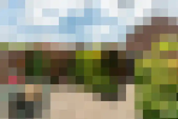 Katwoudehof 26 Arnhem thumbnail 36