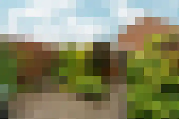 Katwoudehof 26 Arnhem thumbnail 38
