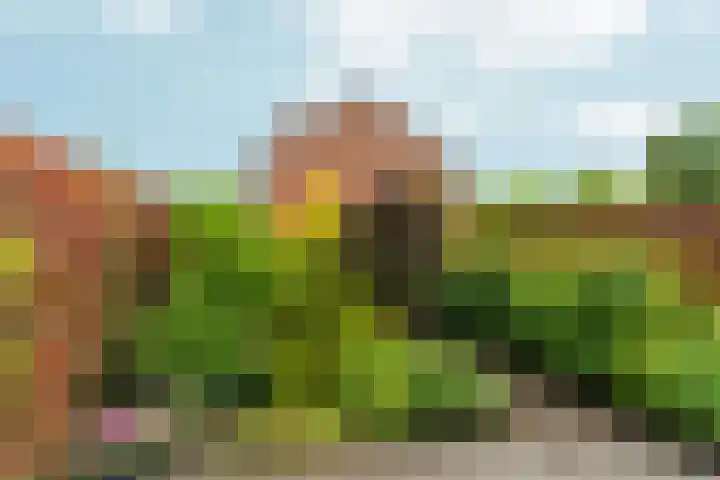 Katwoudehof 26 Arnhem thumbnail 39