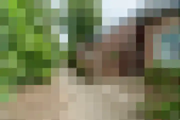 Katwoudehof 26 Arnhem thumbnail 43