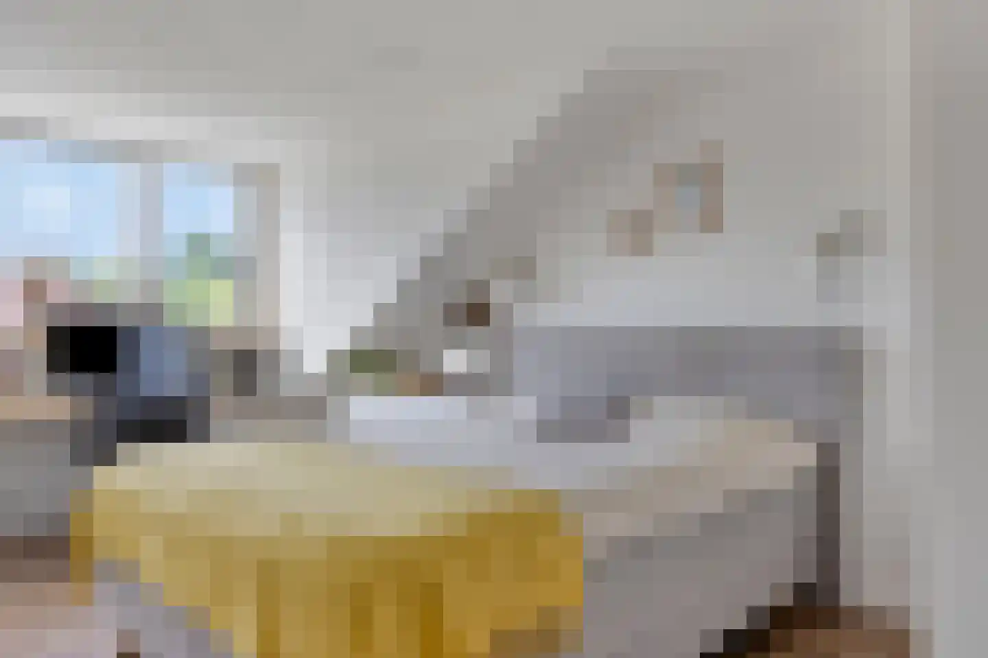 Katwoudehof 28 Arnhem thumbnail 17