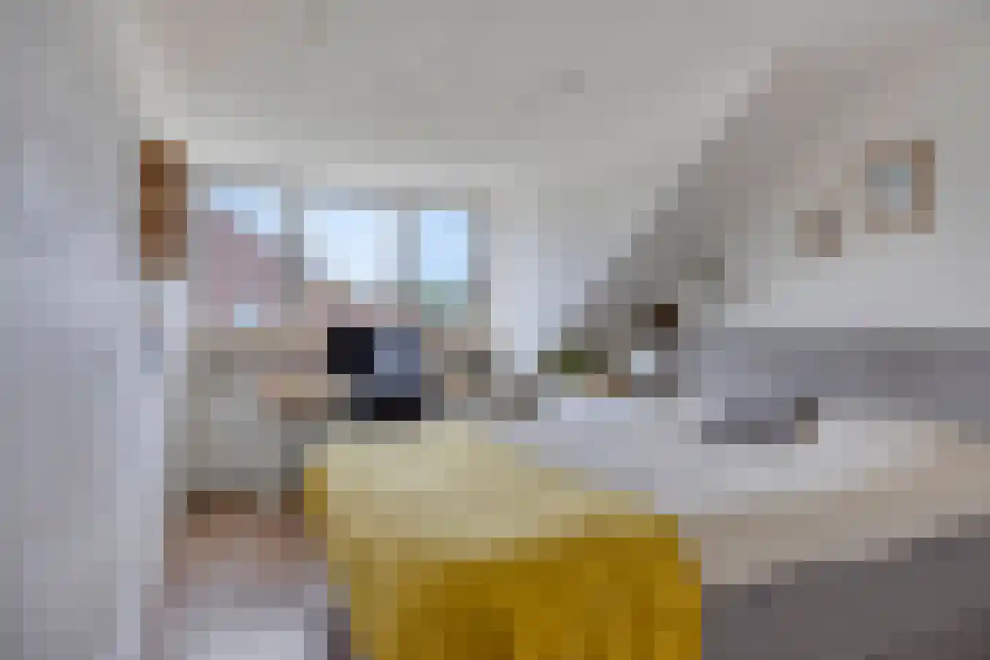 Katwoudehof 28 Arnhem thumbnail 18