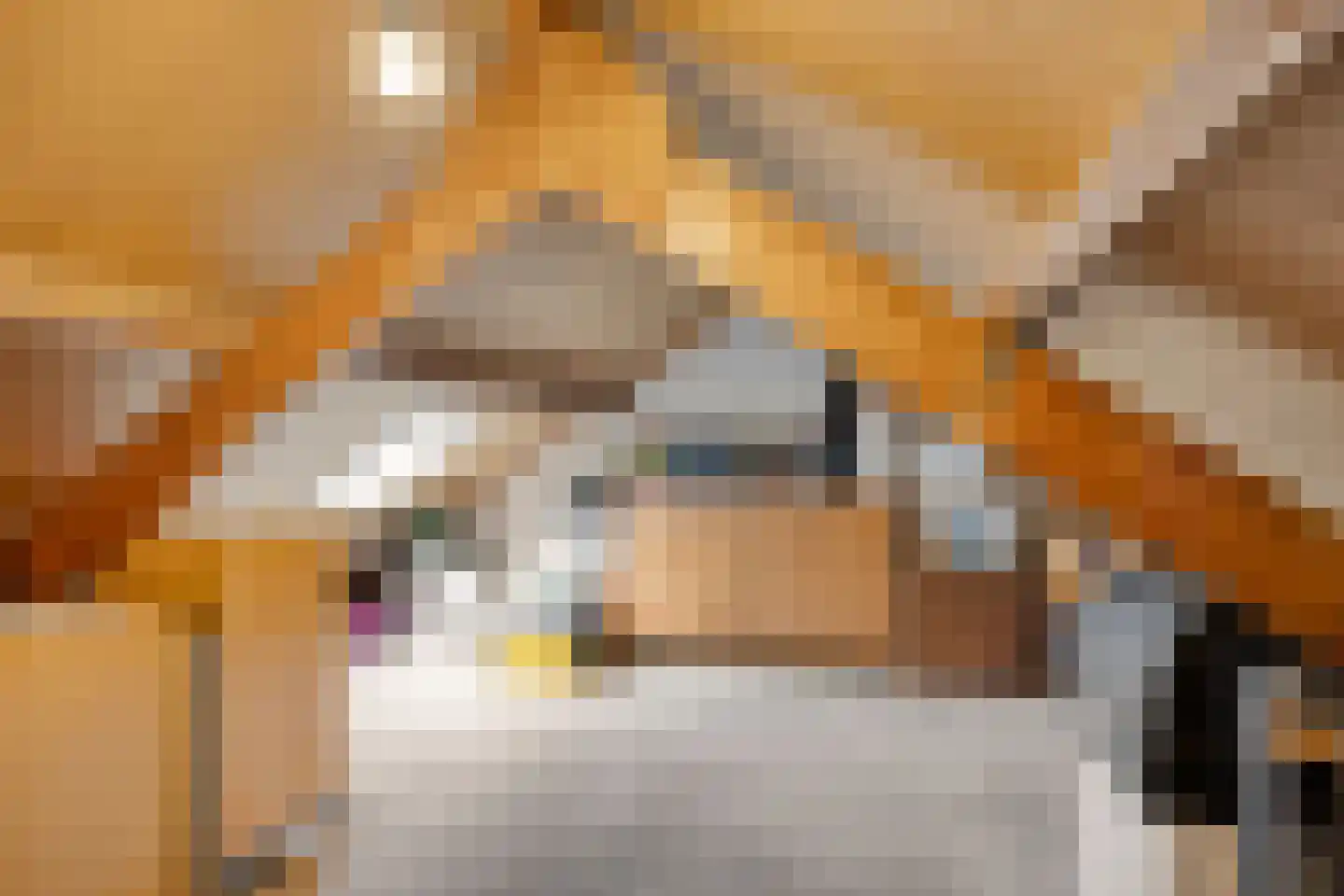 Katwoudehof 28 Arnhem thumbnail 29