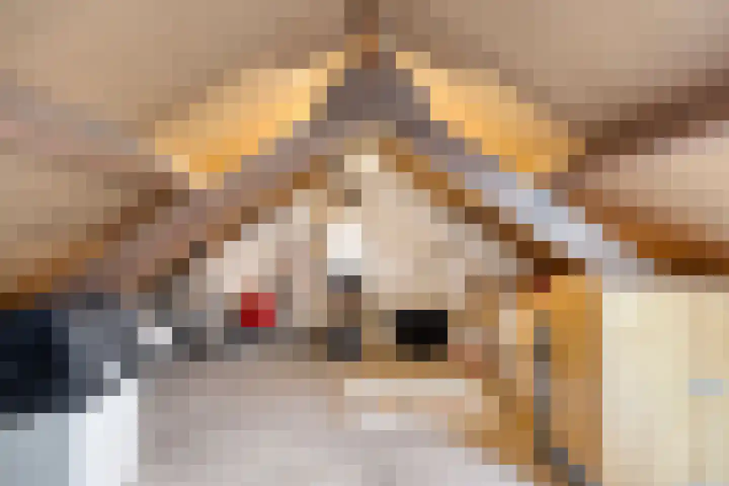 Katwoudehof 28 Arnhem thumbnail 30