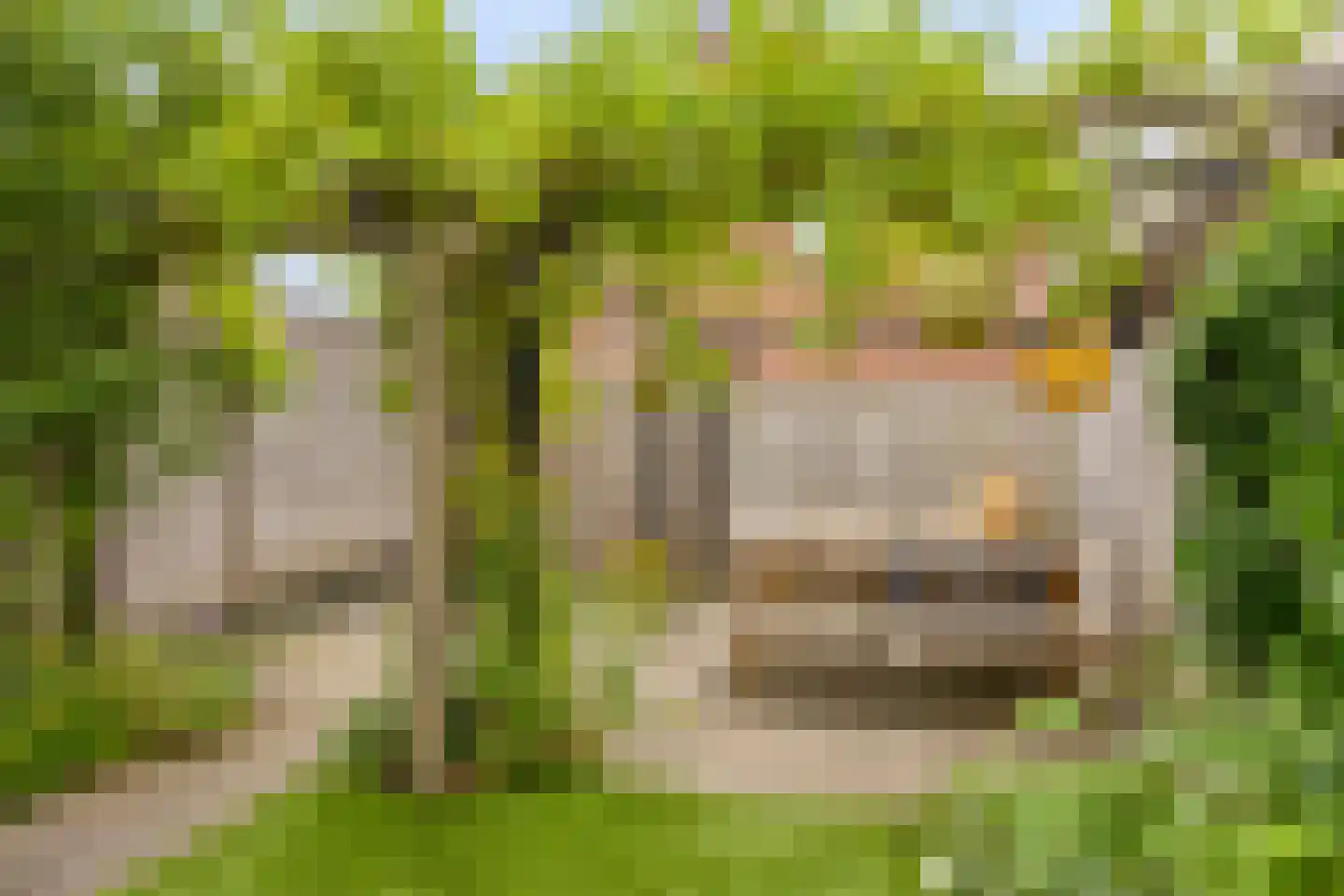 Katwoudehof 28 Arnhem thumbnail 32
