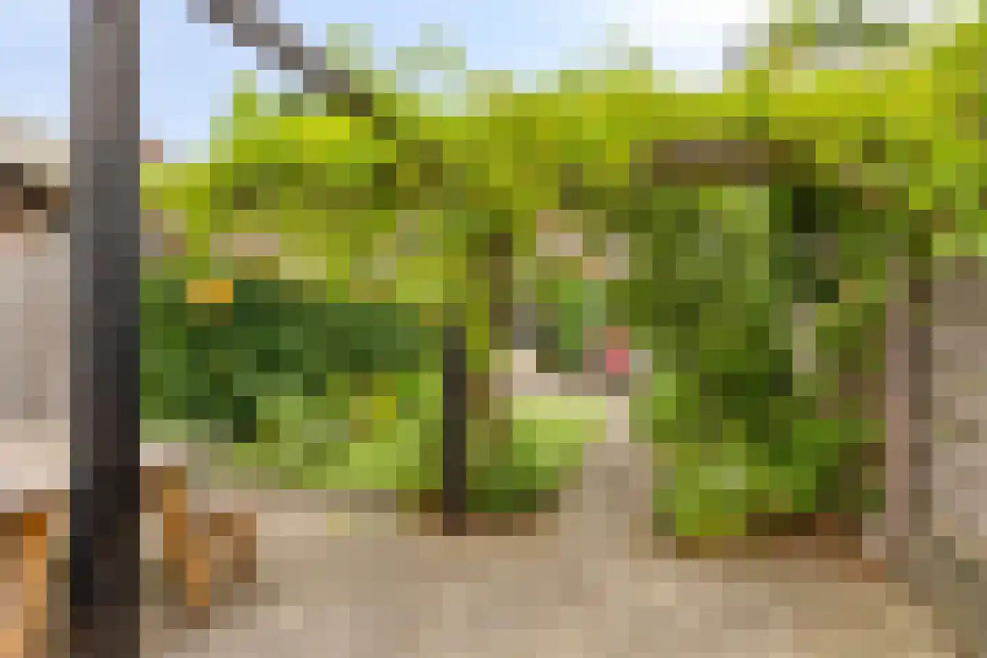 Katwoudehof 28 Arnhem thumbnail 37