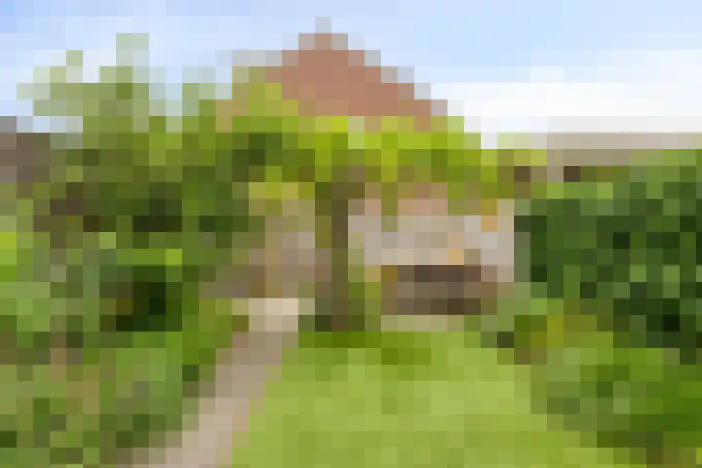 Katwoudehof 28 Arnhem thumbnail 38