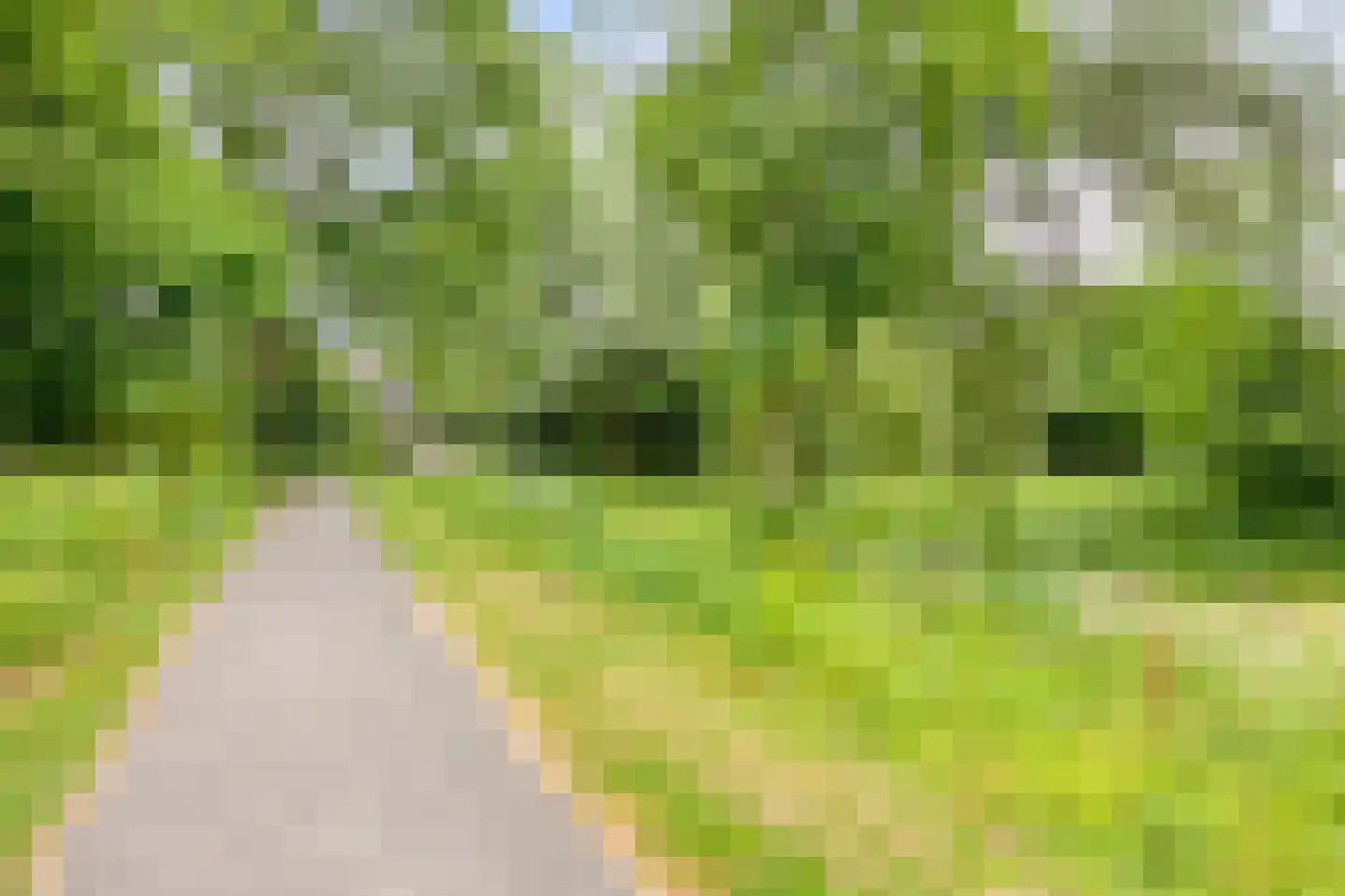 Katwoudehof 28 Arnhem thumbnail 45