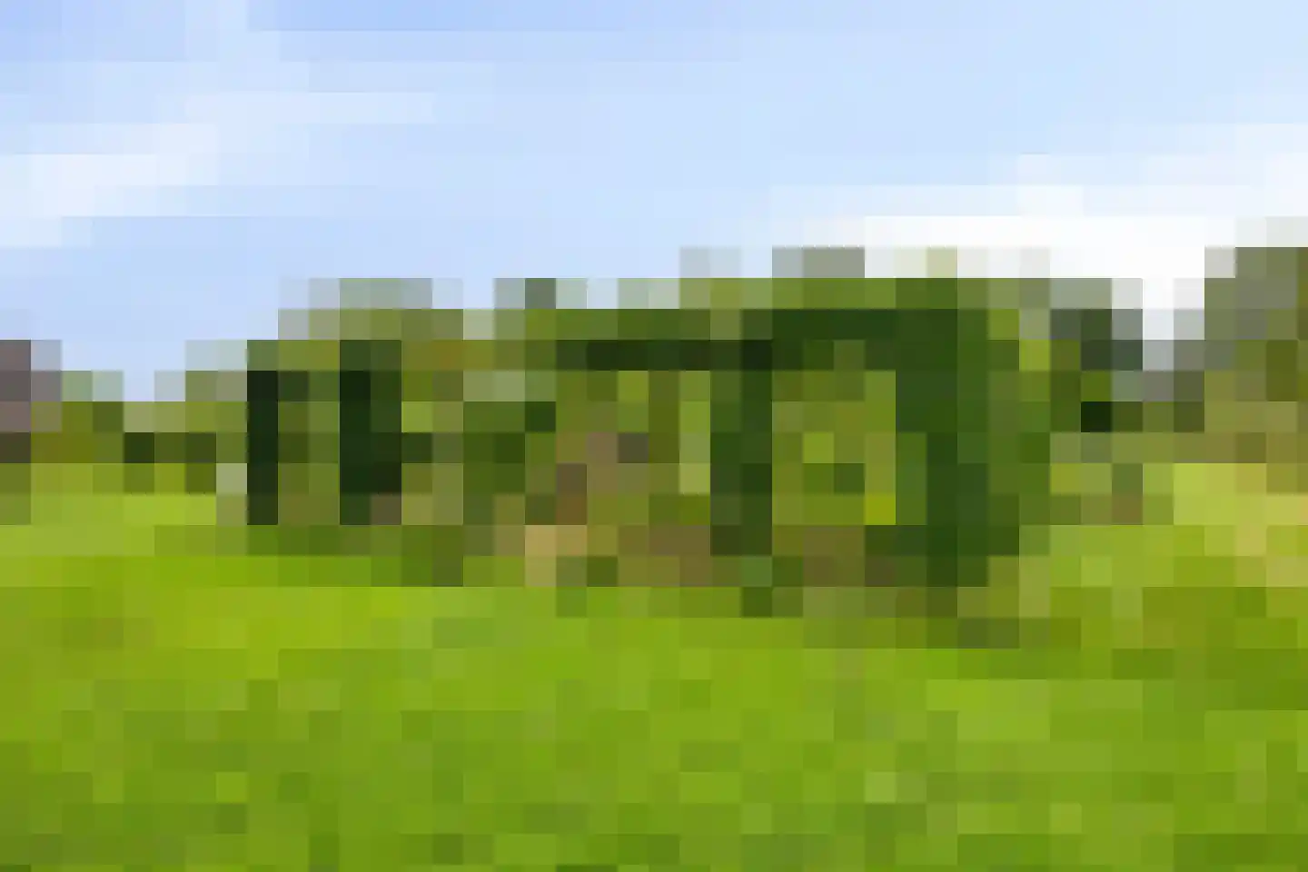 Katwoudehof 28 Arnhem thumbnail 47
