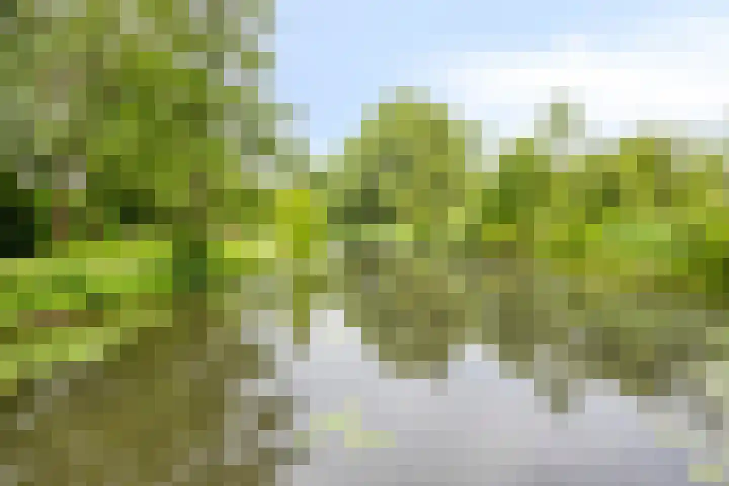 Katwoudehof 28 Arnhem thumbnail 48