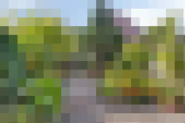 Katwoudehof 59 Arnhem thumbnail 19