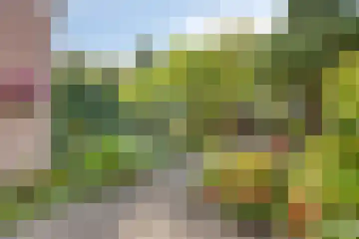Katwoudehof 59 Arnhem thumbnail 20