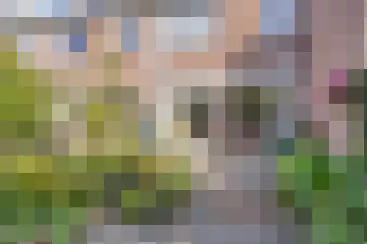 Katwoudehof 59 Arnhem thumbnail 22