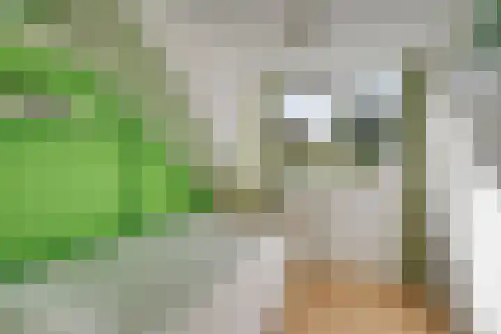 Katwoudehof 59 Arnhem thumbnail 39