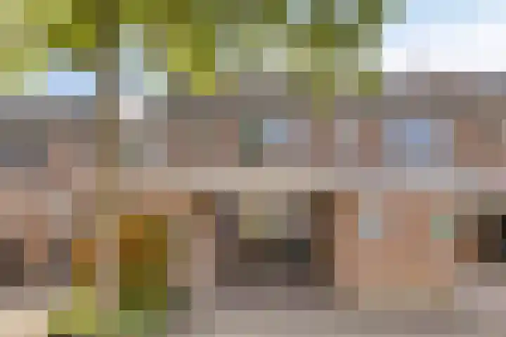 Katwoudehof 59 Arnhem thumbnail 44