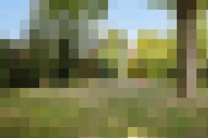 Katwoudehof 59 Arnhem thumbnail 47