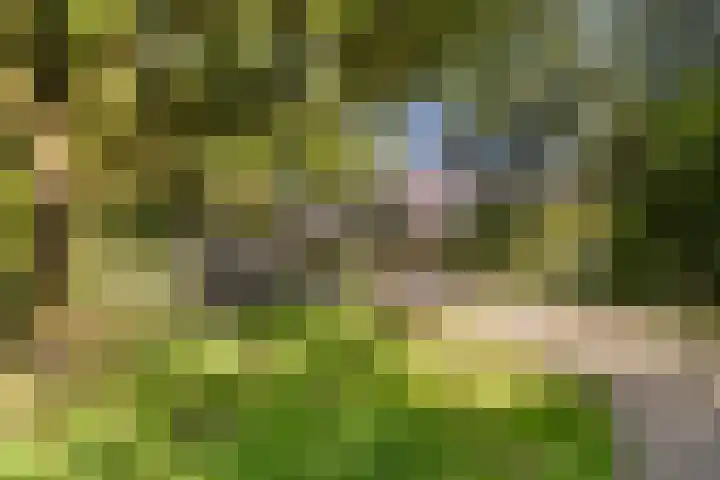 Katwoudehof 59 Arnhem thumbnail 48