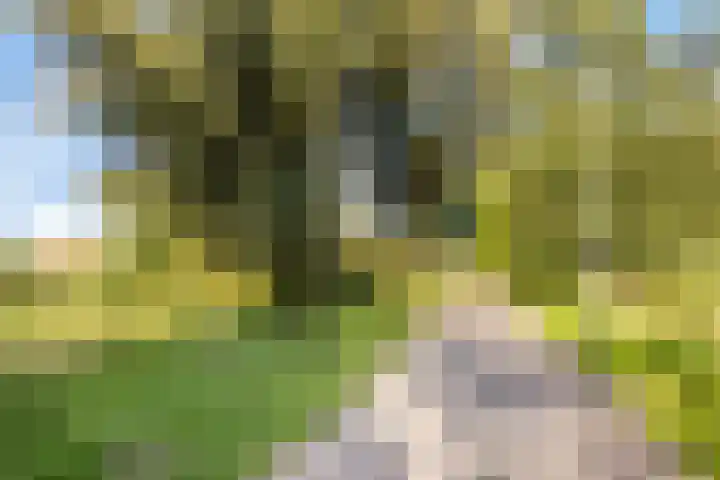 Katwoudehof 59 Arnhem thumbnail 49