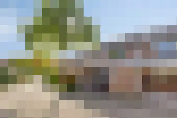 Katwoudehof 59 Arnhem thumbnail 5